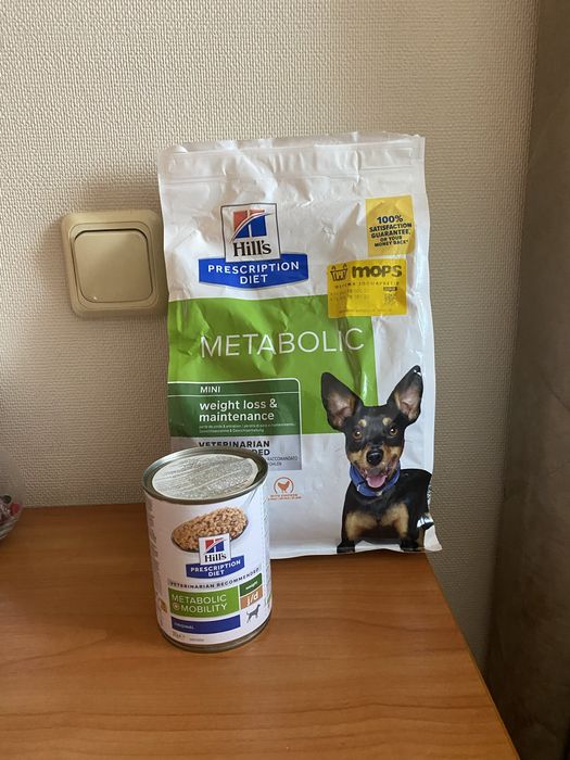 Лечебный корм для собак