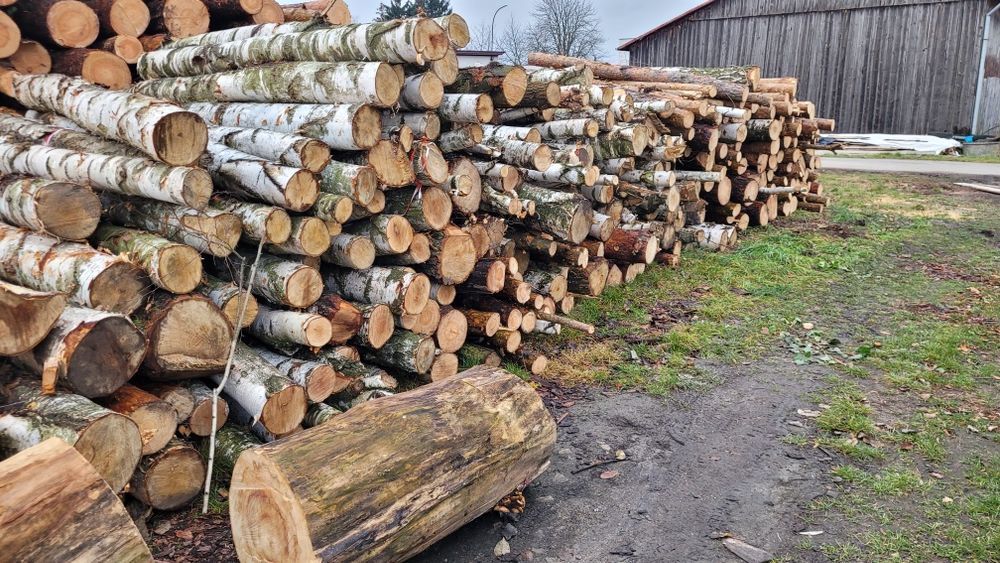 Drewno kominkowe oraz opałowe jabłoń klon sosna osika brzoza