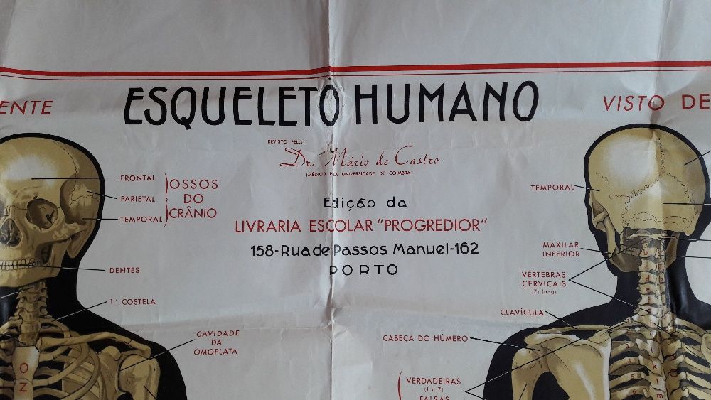 Cartaz escolar de 1960 (65 anos)