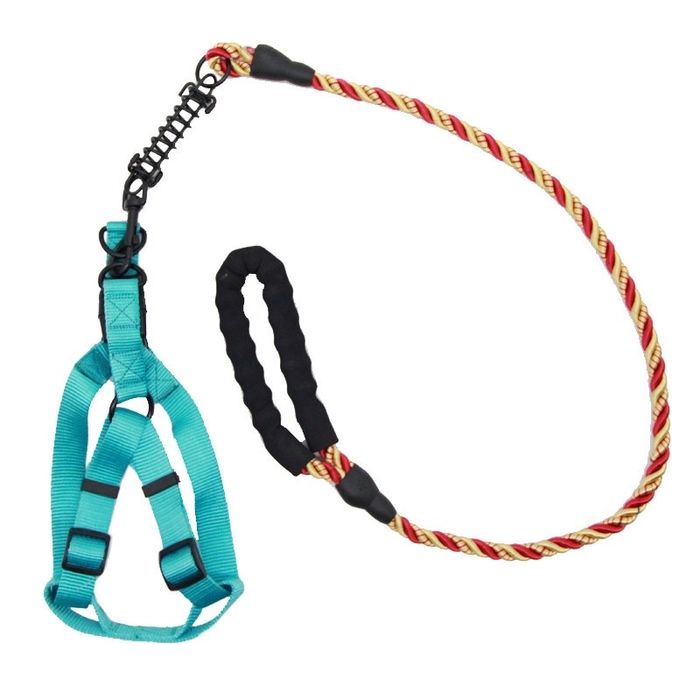 Шлея и поводок комплект