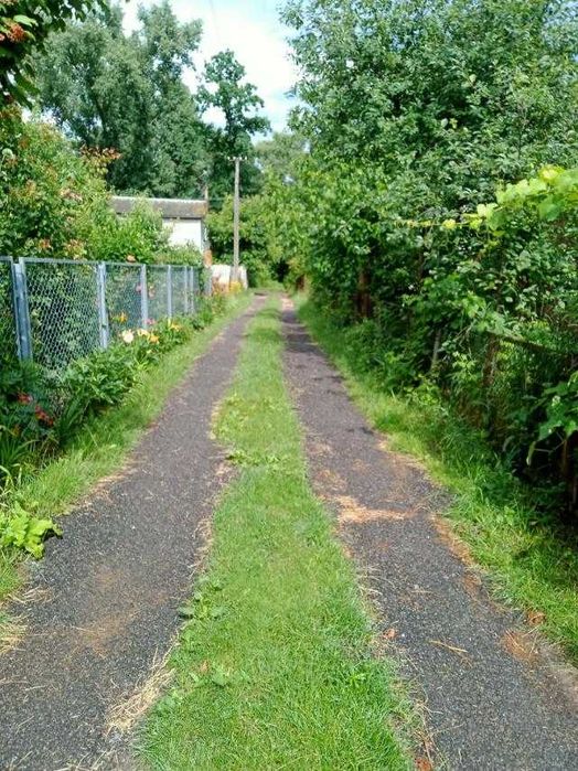 Дача в межах міста!