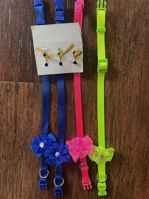 Ошийники для собак маленьких порід