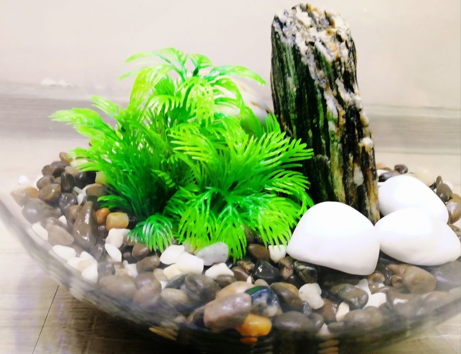 На подарунок Рибка Півник з акваріумом 7л | Повний комплект | Доставка