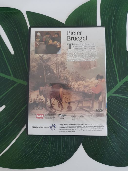 Wielka kolekcja sławnych malarzy - Pieter Bruegel - film