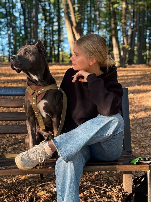 Продам цуценят стаффа