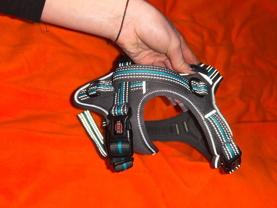 Шлейка для собаки