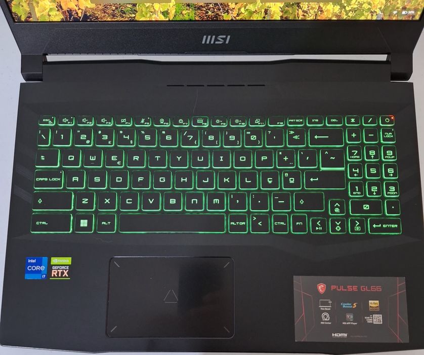 Computador Gaming MSI Pulse GL66