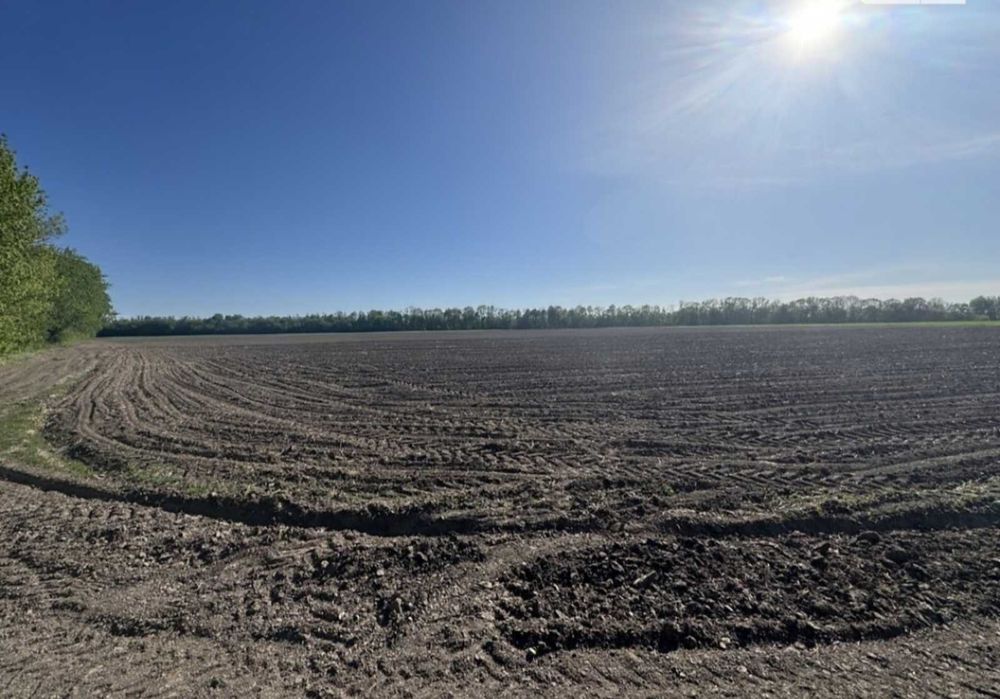 Продається земельна ділянка в Гавришівці