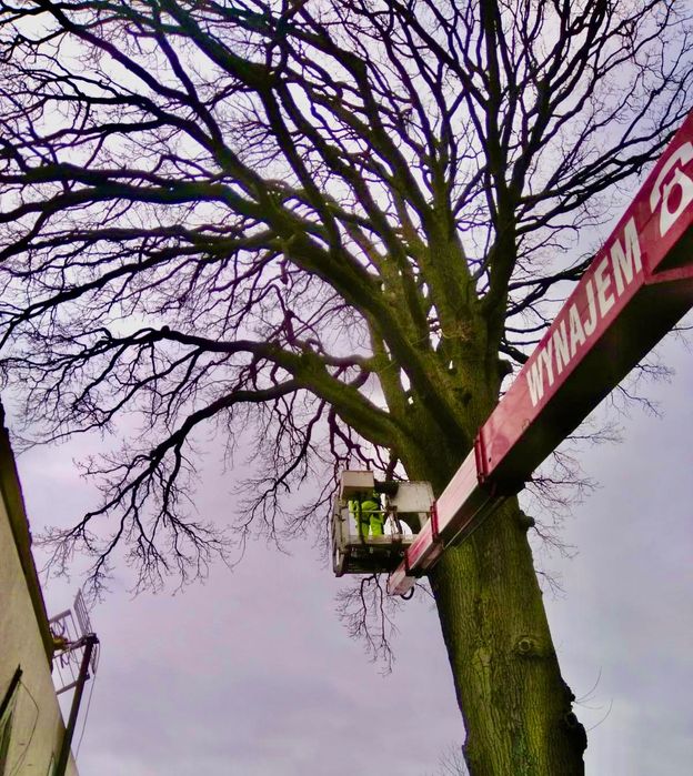 Podnośnik Koszowy NAJTANIEJ  Banery Reklamy Wydruk Reklama Effect Team