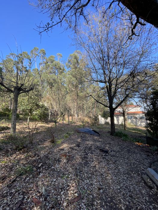 Terreno Tregosa para Construção - 1807.42m2 (Ver última foto)