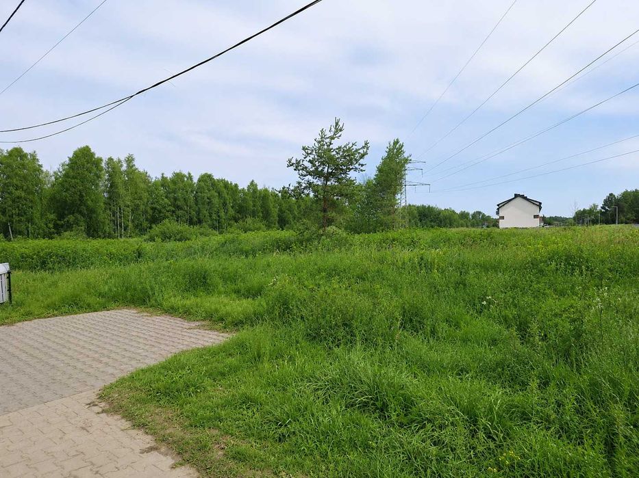 Działka inwestycyjna 5 018 m² w Łazach | MPZP MNW-U 2024 | Media przy działce | Blisko S7 - Widok 2