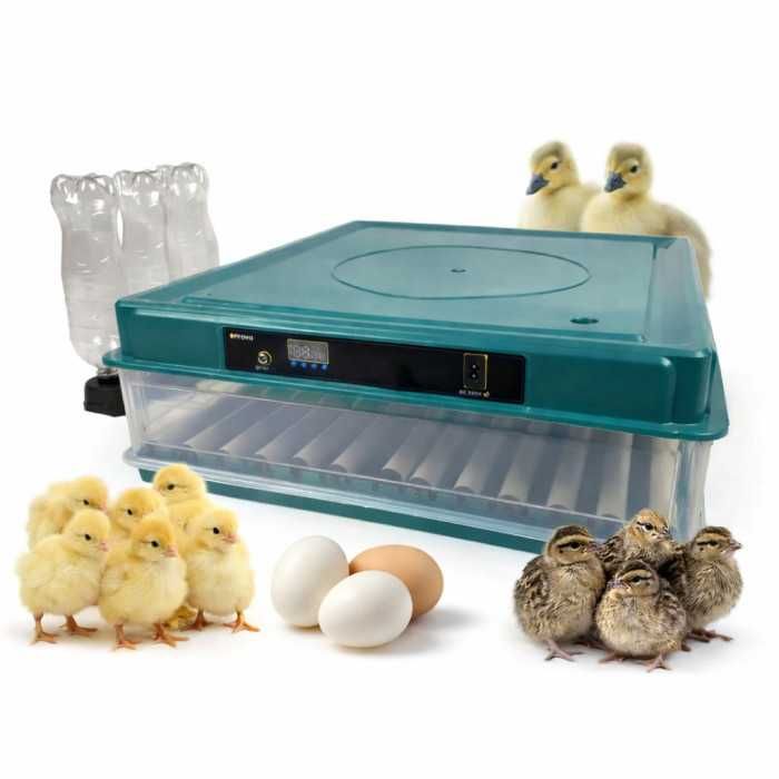 Під акумулятор! Інкубатор Автоматичний ПТАХА 70-G 220/12В Инкубатор