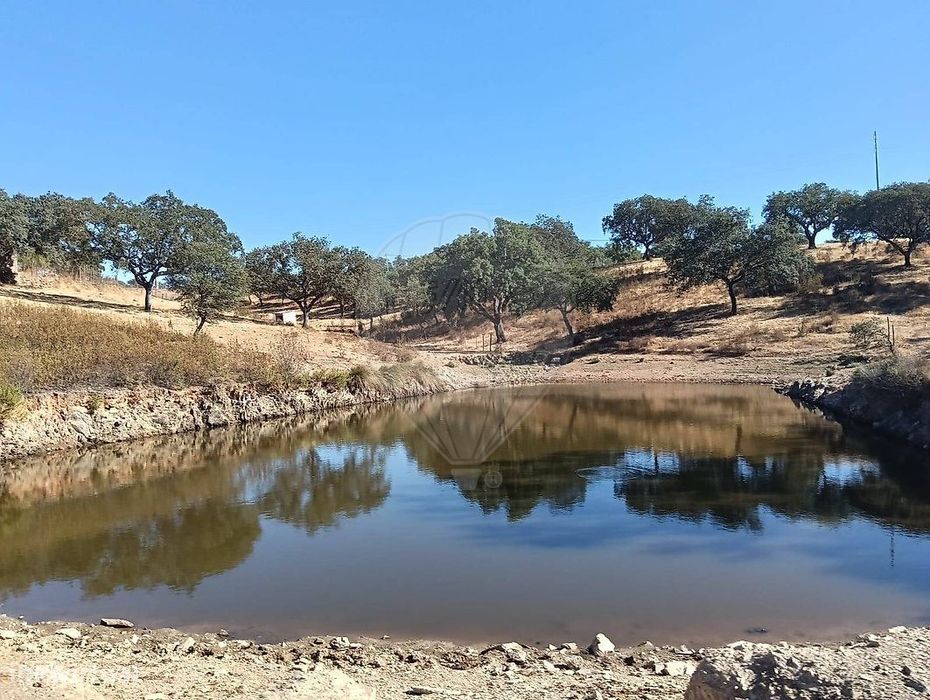 Terreno  para venda