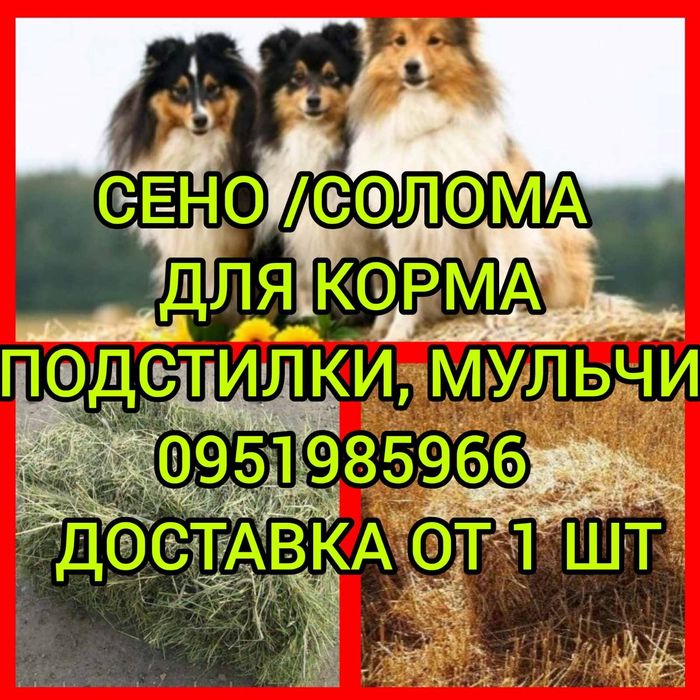 СЕНО В БУДКУ СОБАКАМ в тюках мешках, сіно степное с доставкой.