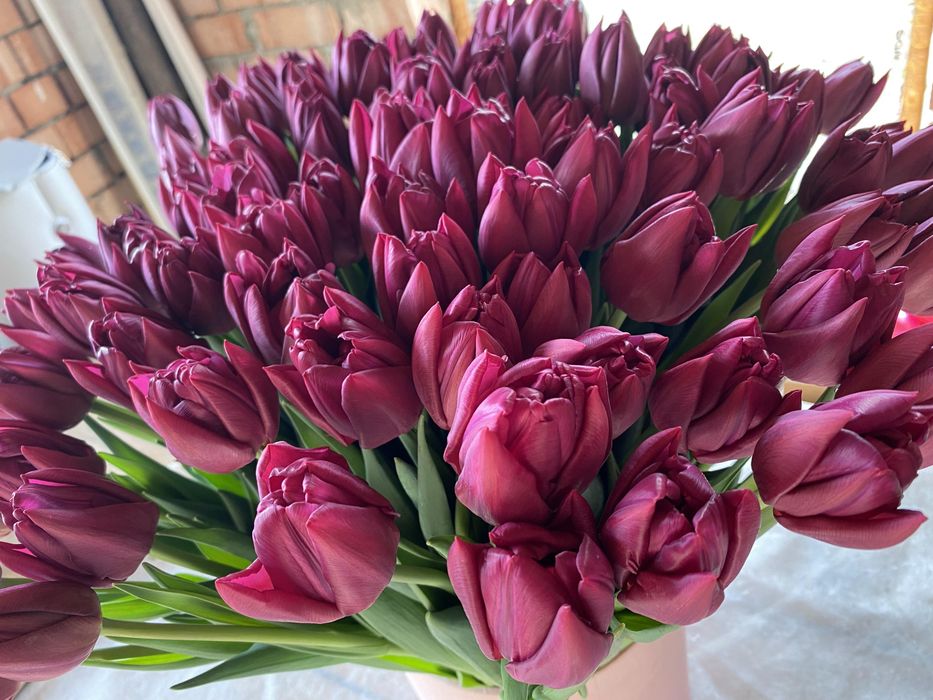 Зріз тюльпанів до 8 березня, 14 лютого