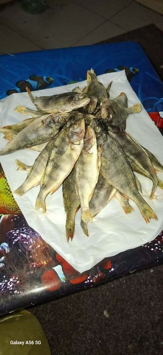 Рыба вялена,сушена  асортимент!!