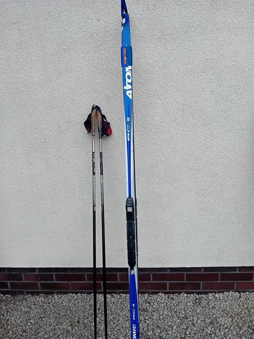 Buty biegowe Salomon Alpina atomic