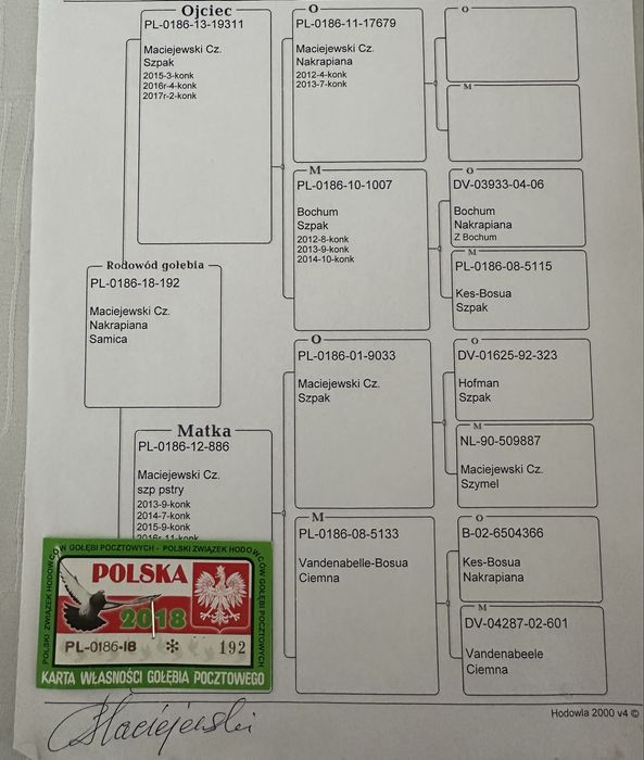 Gołebie pocztowe