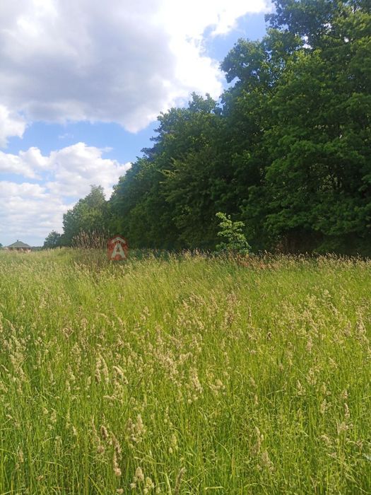 Продам земельну ділянку с.Северинівка, вул. Жданова, без комісії