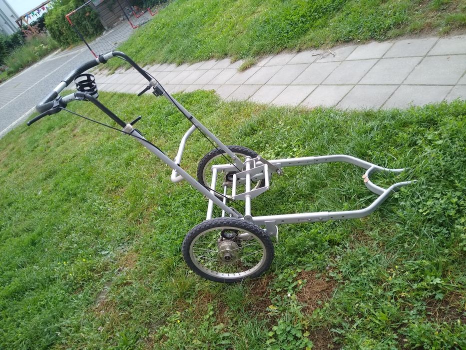 Przyczepka rowerowa, wózek trójkołowy, do biegania, wózek