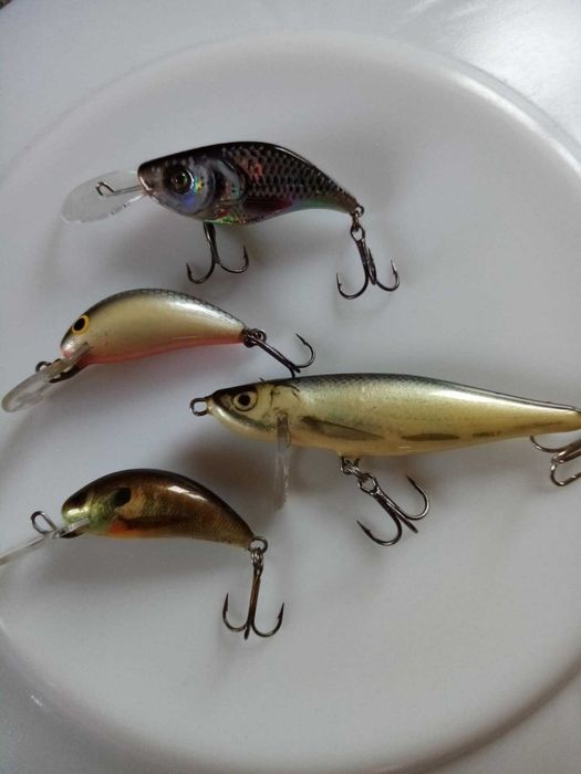 Wobler woblery salmo