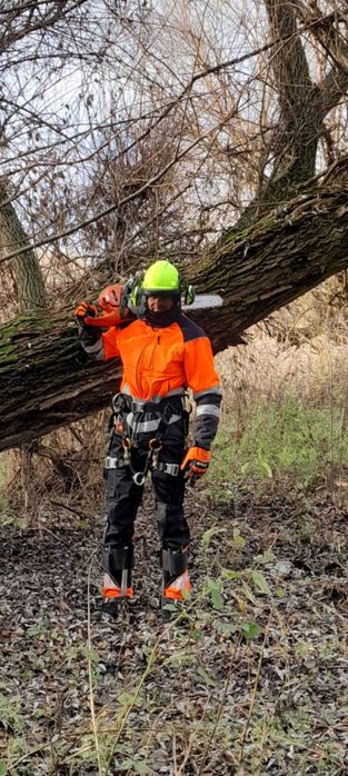 BEZPIECZNA Wycinka i Pielęgnacja Drzew | DOŚWIADCZONY Arborysta