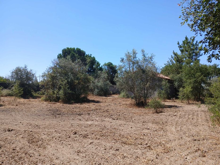 Terreno para venda em Vale de Santarém com construção iniciada