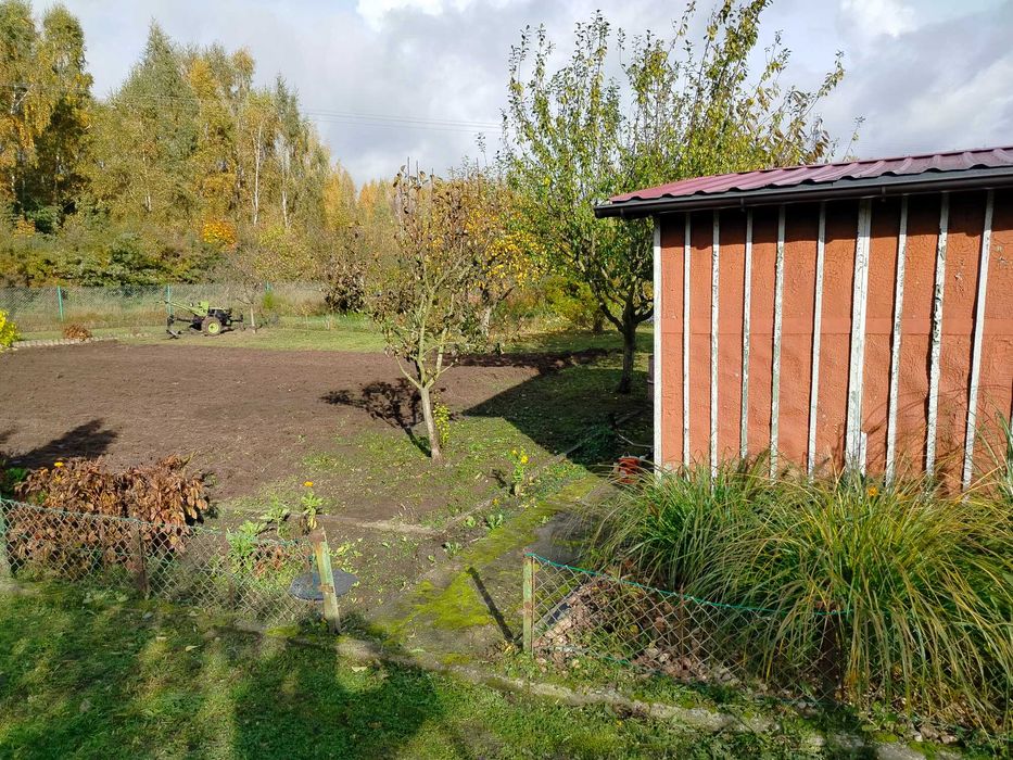 Ogród działkowy - Widok 5