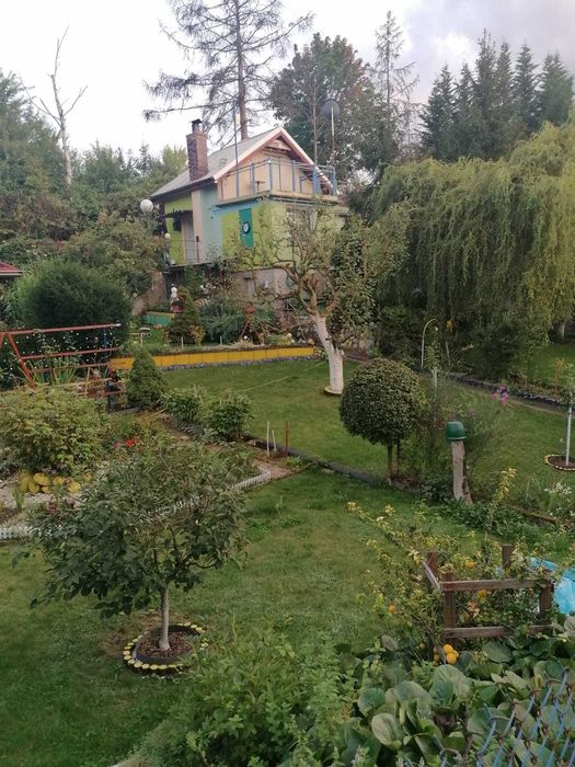 Dzialka ROD Bukowina 600m2 Podjuchy