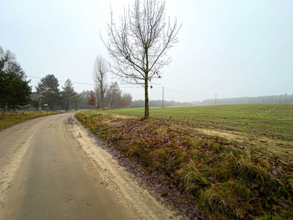 1,5 ha - tereny mieszkaniowo-rekreacyjne - Gródek Krajeński, Łobżenica