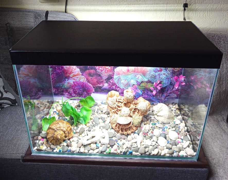 Аквариум 40 л.полный комплект