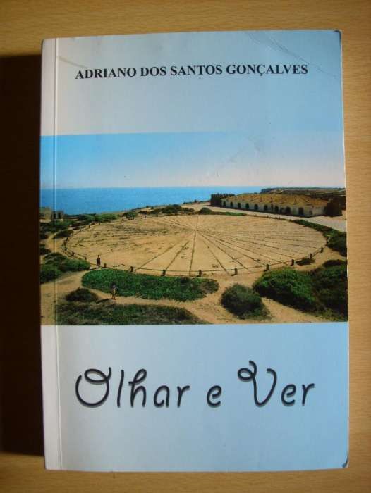Olhar e Ver de Adriano dos Santos Gonçalves