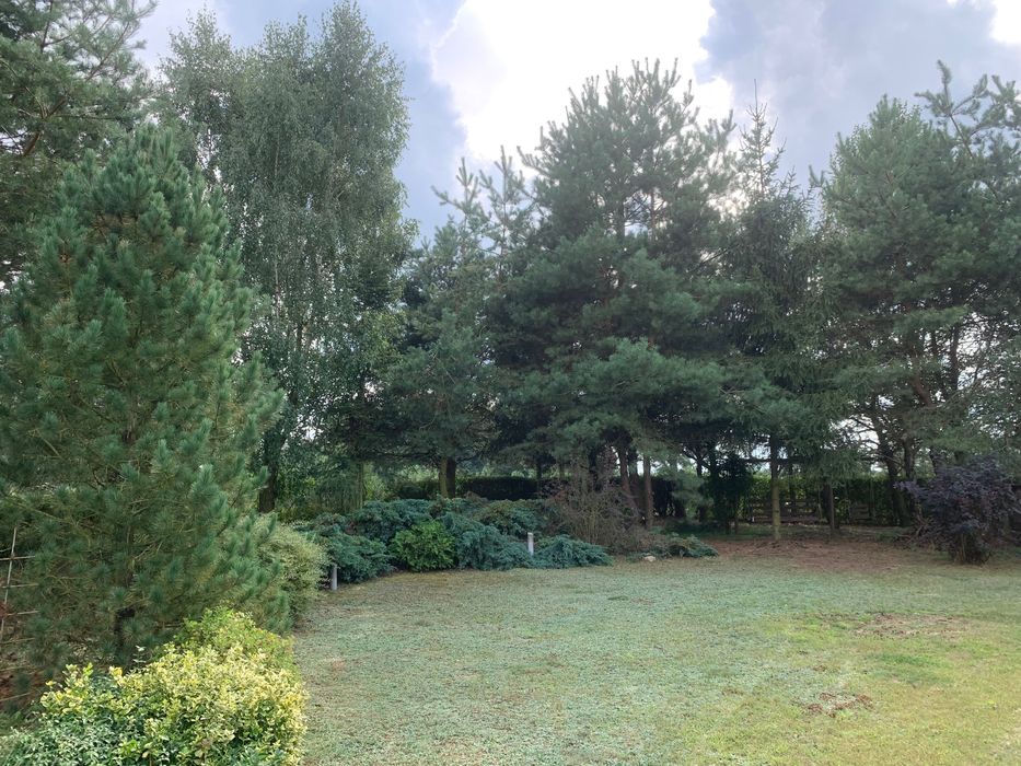 Sprzedam działkę z domkiem w Popowie nad Zalewem Jeziorsko