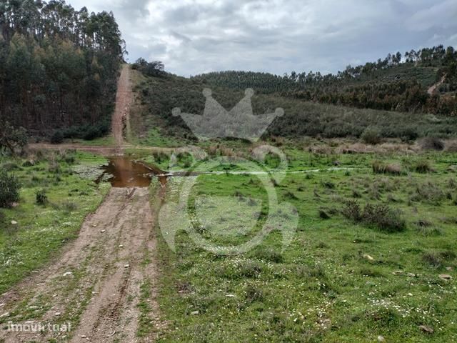 Terreno Rústico para venda — São Pedro Terena, Évora