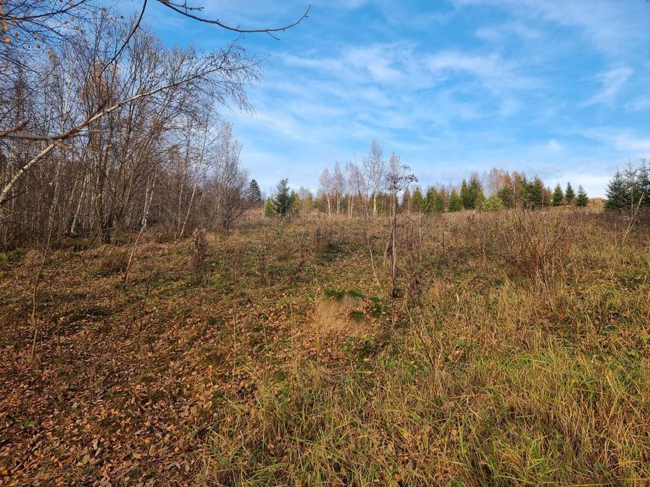 Продаж земельна ділянка 20 сот. вул. Князя Святослава с. Орявчик