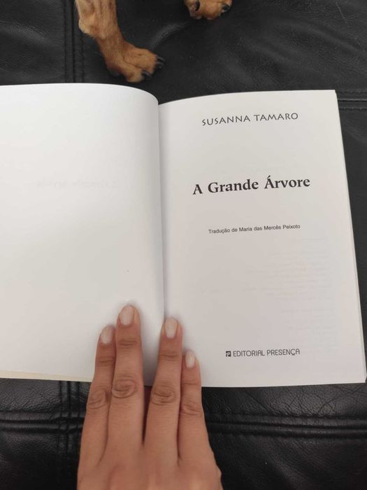 livro infantil em muito bom estado