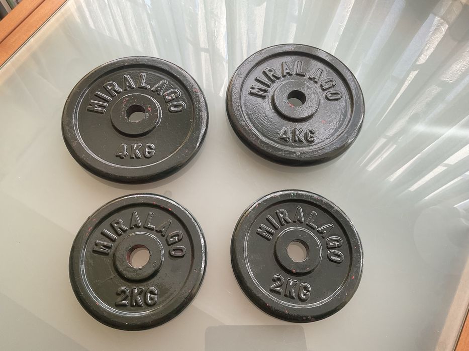 Par discos musculacao de 4kg e 2kg