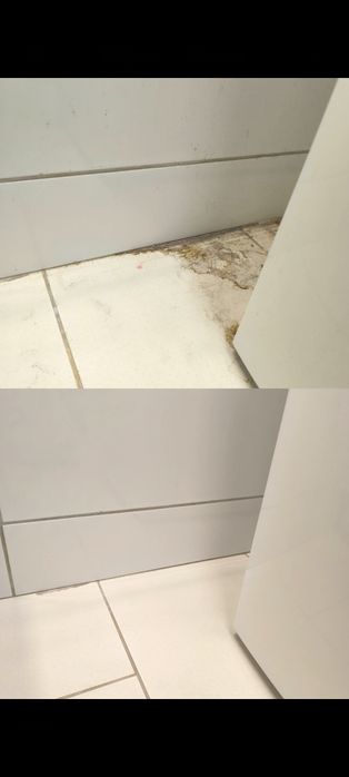 Sprzątanie mieszkań, biur, lokali