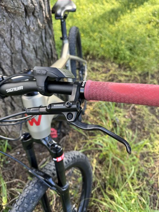 E-Bike Wayscral E450