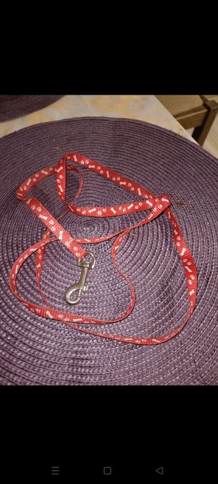 Smycz dla małego psa/szczeniaka/kota