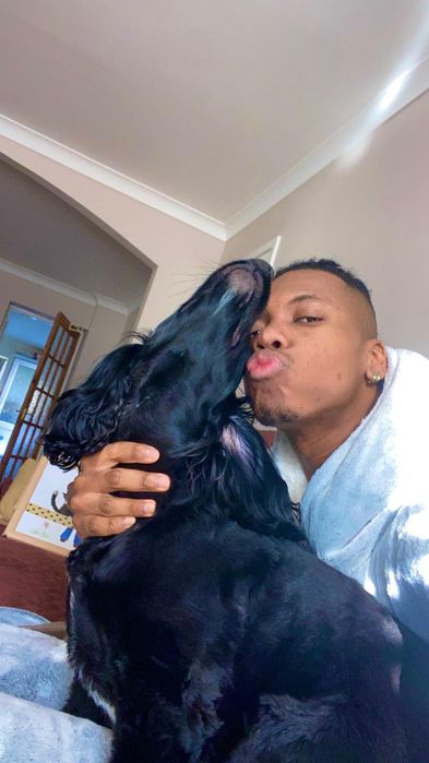 Dog Walker | Passeios para Cães