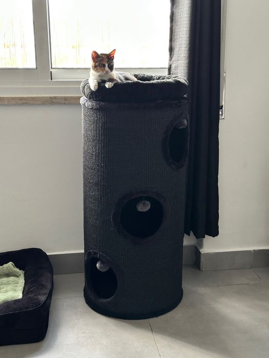 Arranhador XL como novo