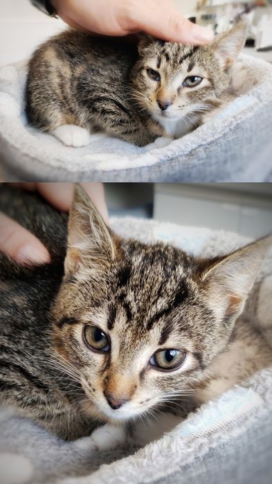 Maleństwo szuka miłości :)