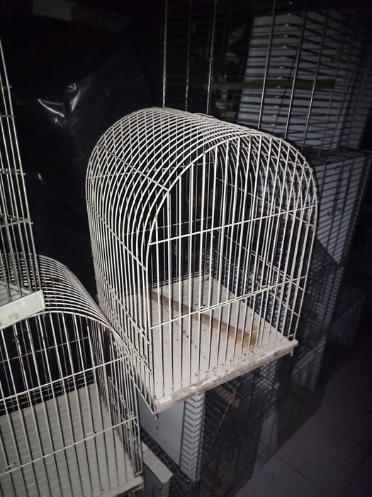 Gaiolas para papagaios