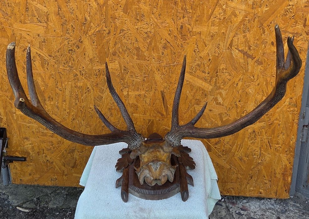 Роги оленя часів срср