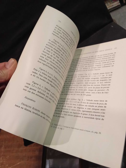 A Estação Paleolítica da Baía Farta (Angola) - Carlos M. N. Ervedosa