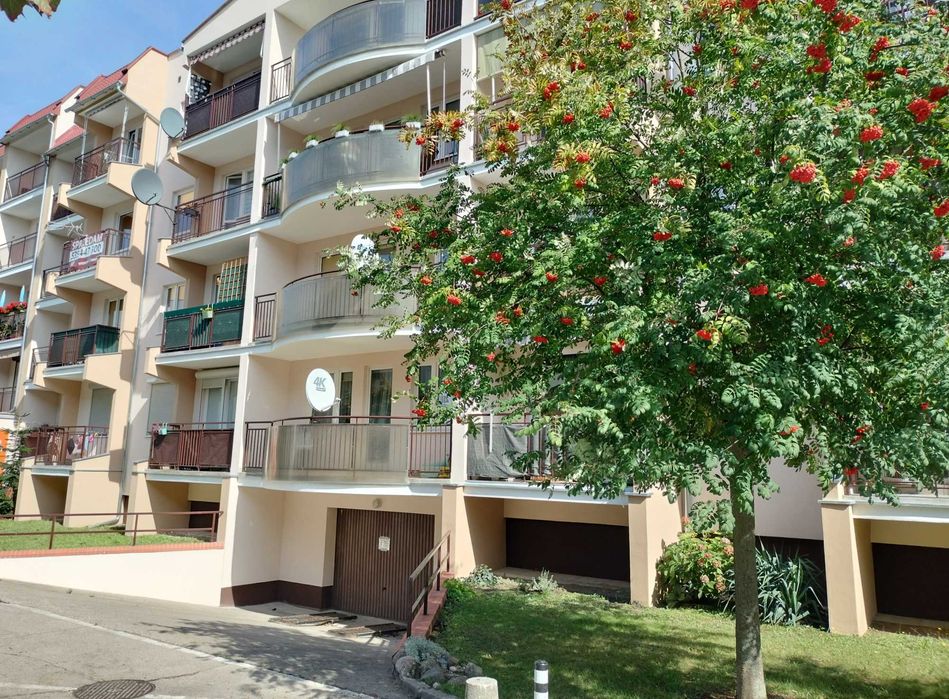 Miejsce postojowe w garażu ul. Paderewskiego - Widok 2