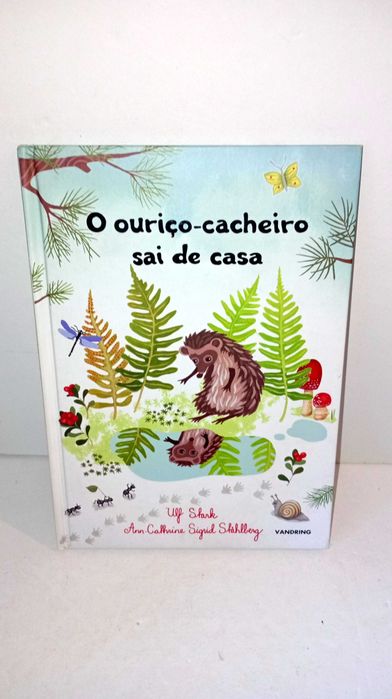 O Ouriço- Cacheiro sai de casa