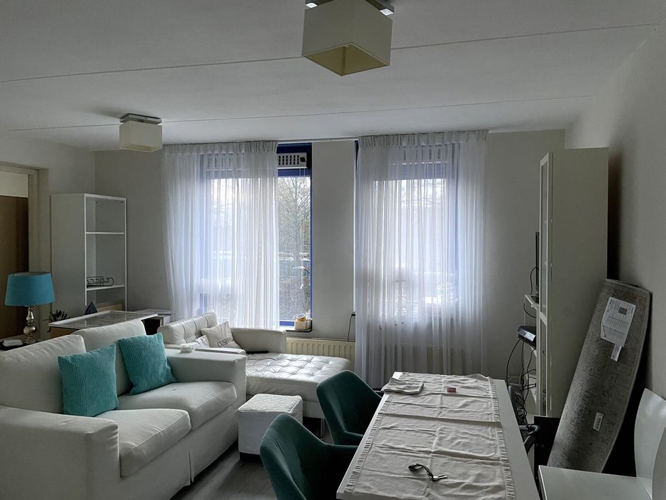 Chaise Longe, Sofa, Espelhos, móveis pequenos, roupa de cama e de dama