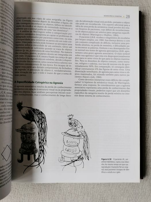 Neurociência Cognitiva